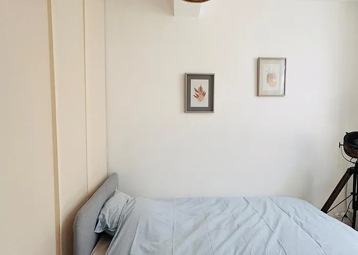 Le Petit Boursiers - Hyper Centre * Castres (Tarn)