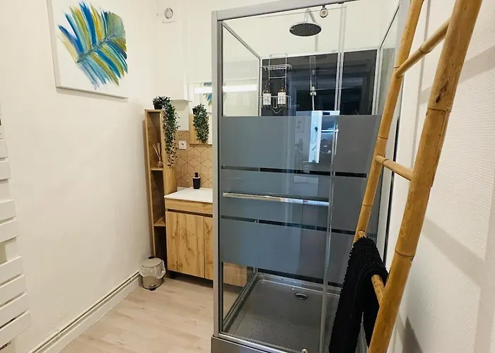 Le Petit Boursiers - Hyper Centre * Castres (Tarn)