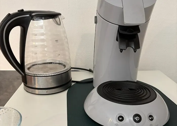 Le Petit Boursiers - Hyper Centre Castres (Tarn)