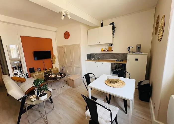 Apartment Le Petit Boursiers - Hyper Centre *