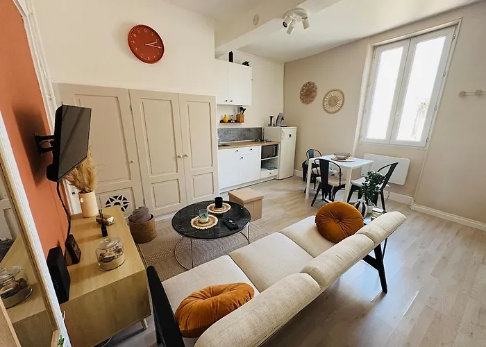 Le Petit Boursiers - Hyper Centre Apartment Castres (Tarn)